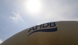 Dry spring 2025: Impact on crop nitrogen uptake